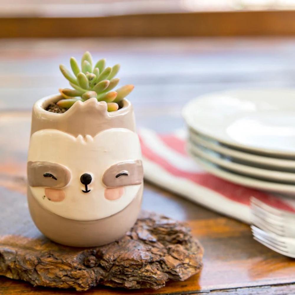 Maceteros de cerámica